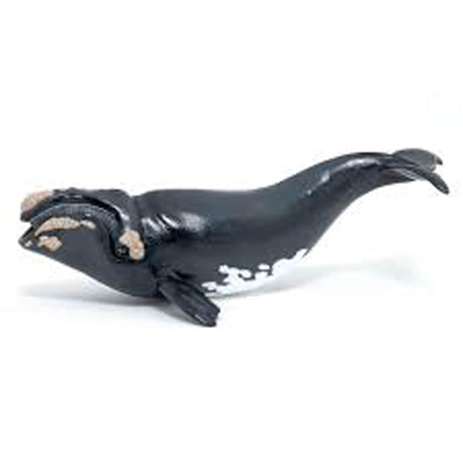 figurine baleine franche