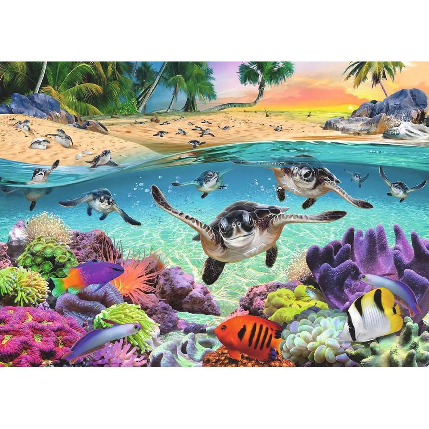 Puzzle 500 pièces : Les Bébés Tortues Ravensburger France - vue 1