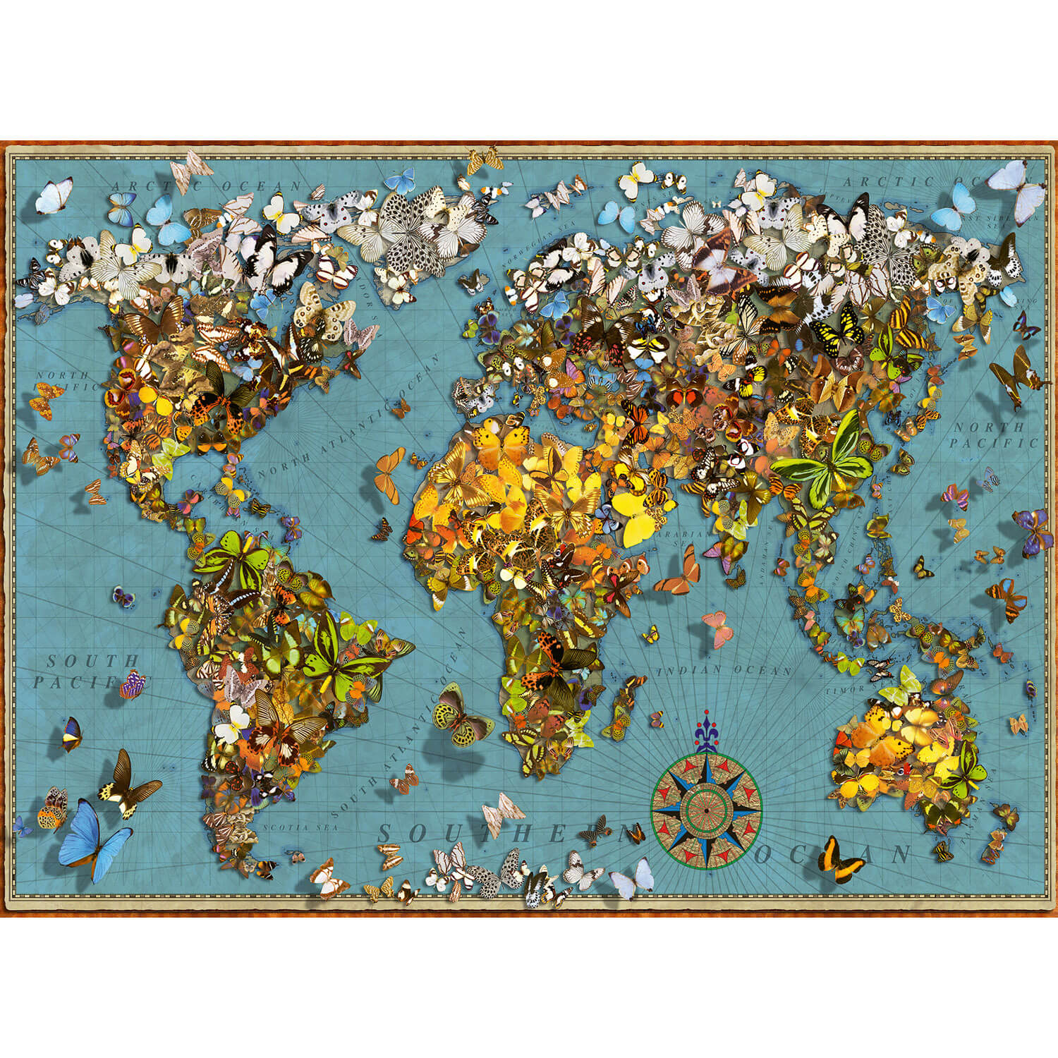 Buy Ravensburger mappemonde (3d puzzle) Puzzle