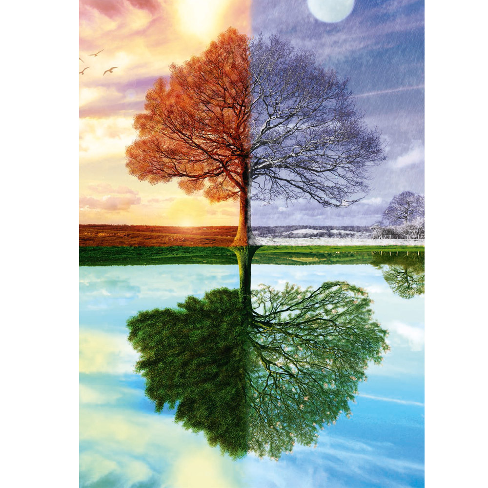 Puzzle 500 pièces : L'arbre des quatre saisons