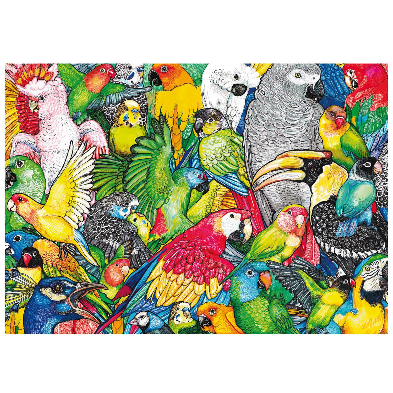 puzzle 500 piã¨ces : perroquets