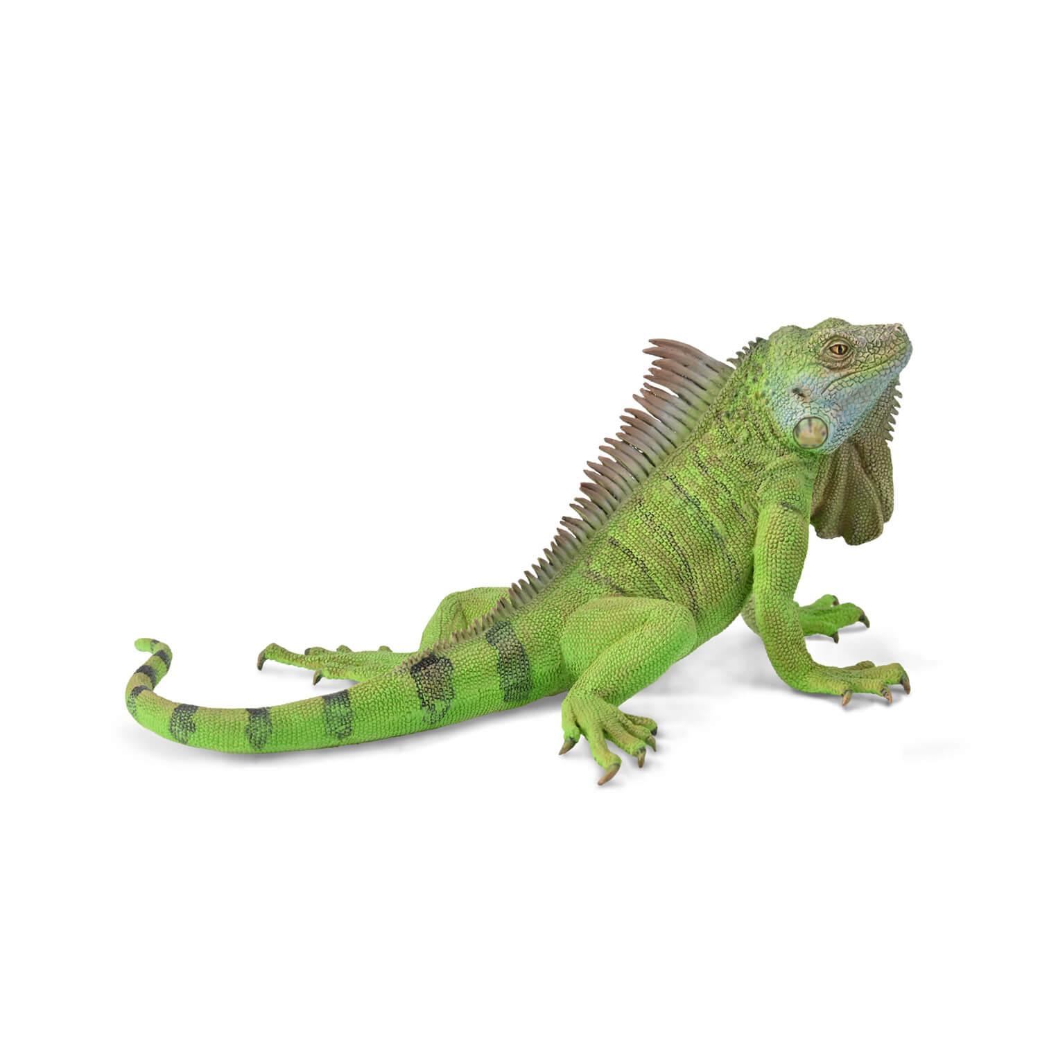 figurine animaux sauvages (xl) :â iguane vert