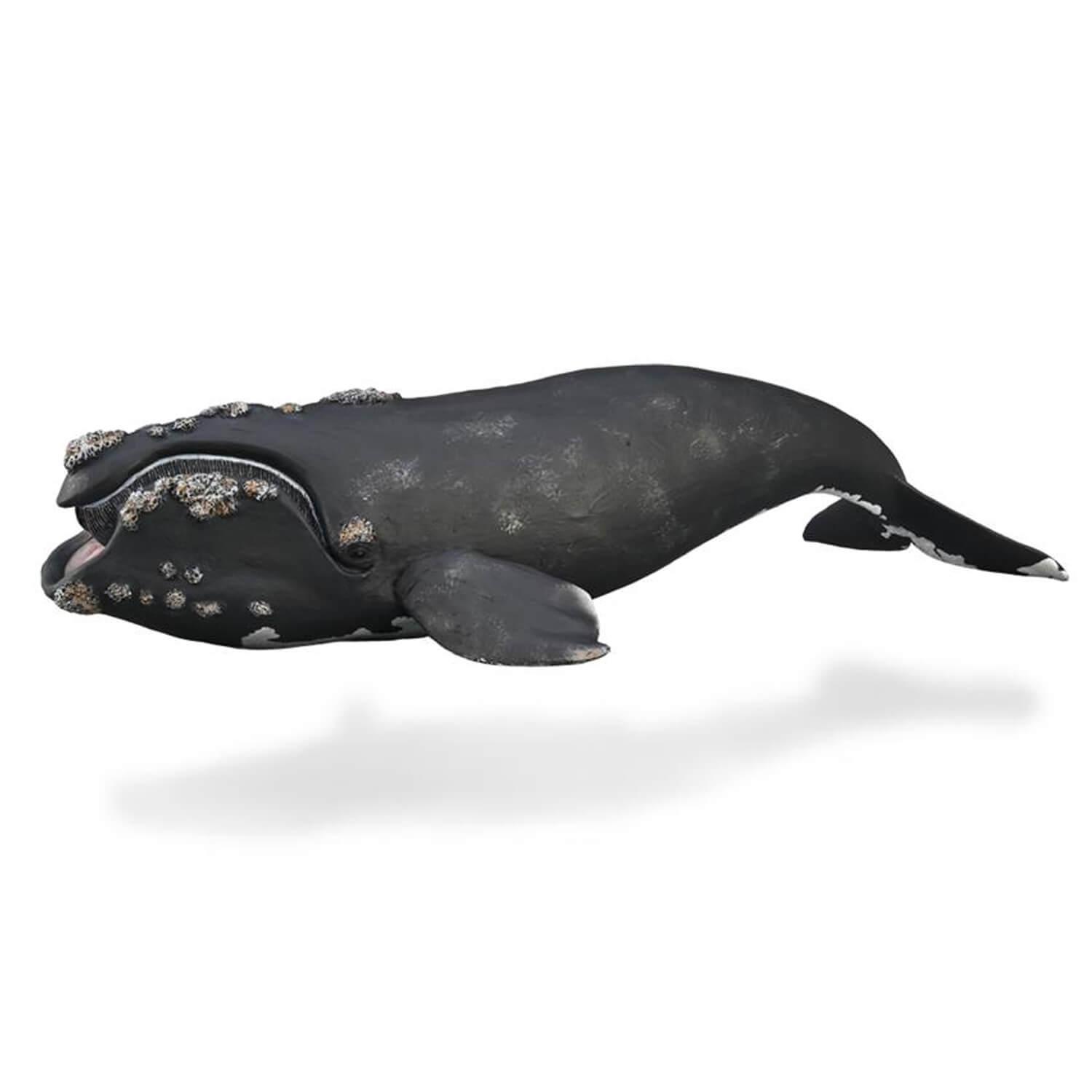 figurineâ animalâ marin (xl):â baleine franche