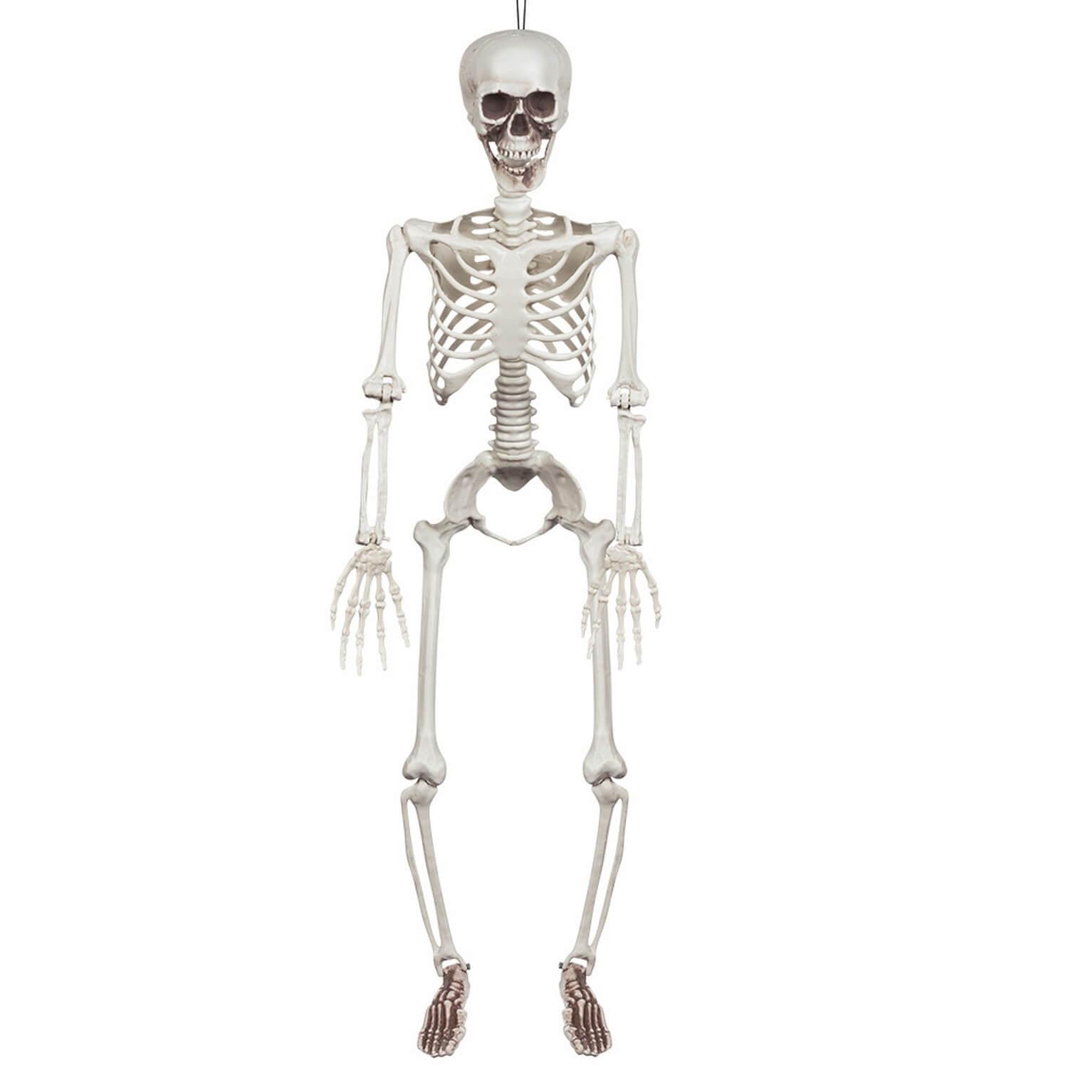 Squelette à suspendre articulé 90cm