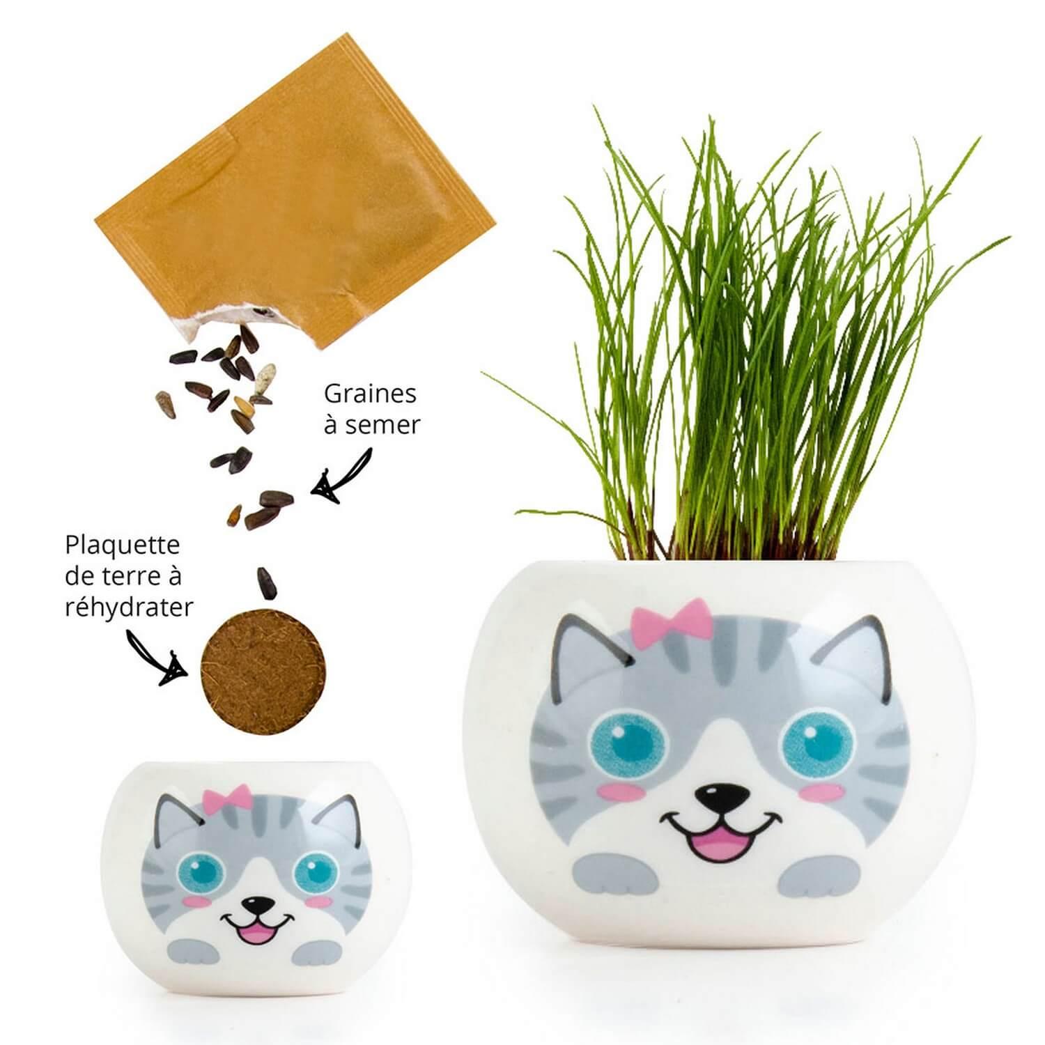 Kit de jardinage : céramique chat gris - Jeux et jouets Radis et Capucine -  Avenue des Jeux