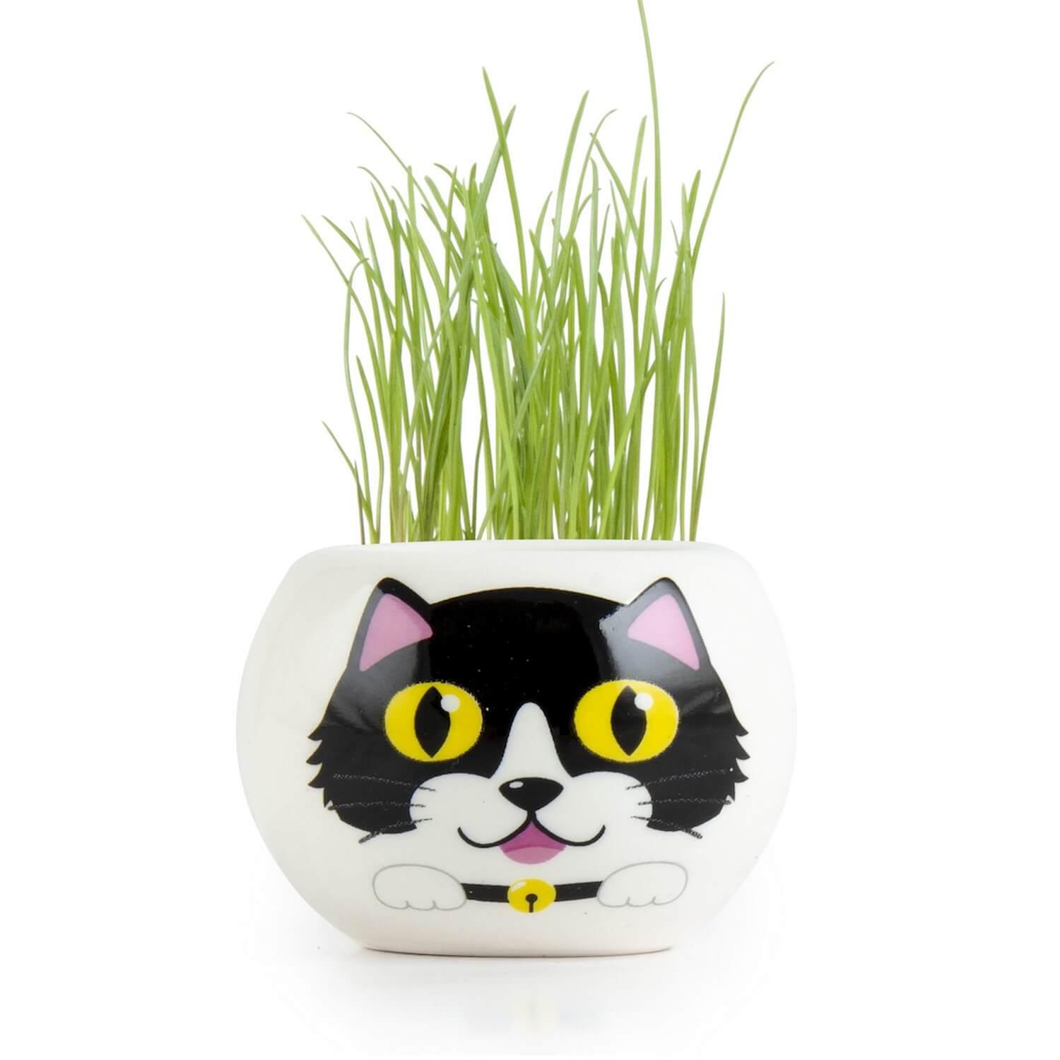 Kit jardinage : céramique chat noir