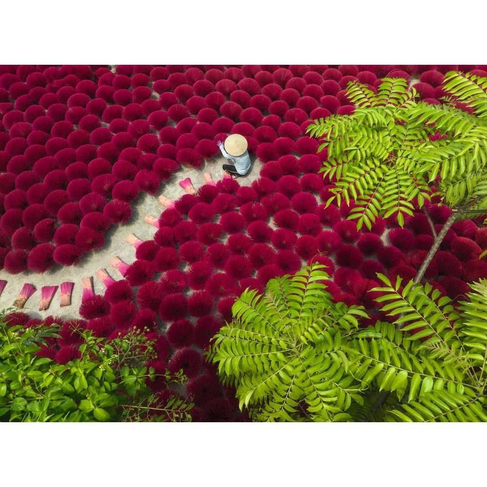 Puzzle 500 pièces : Un océan de Ravensburger France