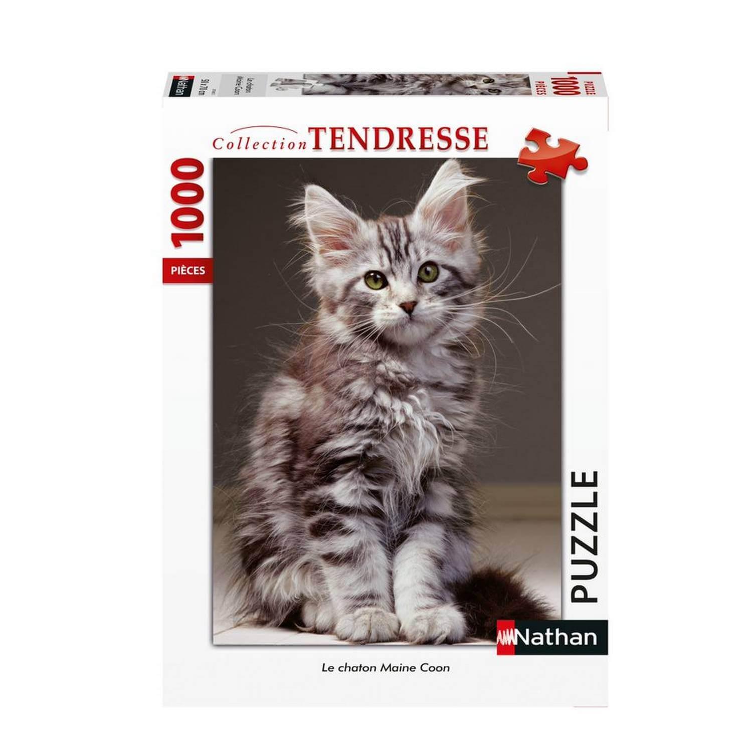 Puzzle 1000 pièces : Tendresse - Le chaton Maine Coon