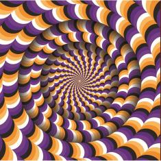 1050 piece puzzle : Optical Illusion