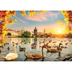 1000 piece puzzle : Swans near Charles Bridge