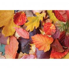 Puzzle 1000 pièces : Feuilles colorées