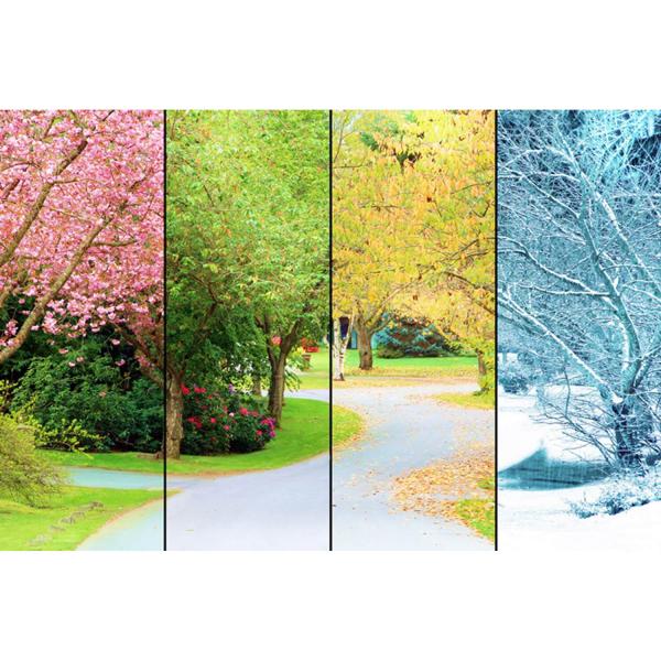 1500 piece puzzle : Four Seasons Tree - Magnolia-3534