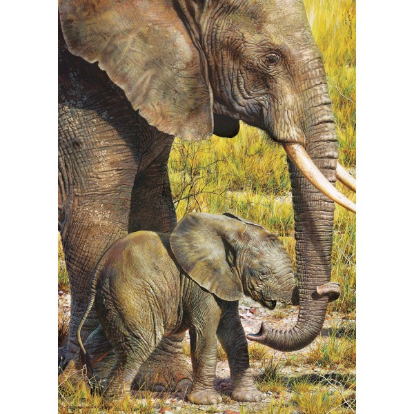 Puzzle 1000 pièces : Eléphant d'Afrique - Master-Pieces-71525
