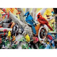 Puzzle 1000 pieces : Audubon - Backyard Birds 