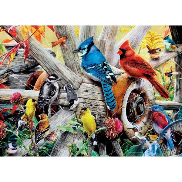  Puzzle 1000 pièces : Audubon - Les oiseaux du jardin - Masterpieces-31978