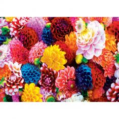 Puzzle 550 pieces : Brilliance - Beautiful Blooms 