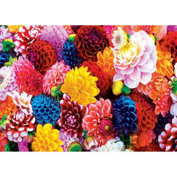 Puzzle 550 pieces : Brilliance - Beautiful Blooms  - Masterpieces-31988,01