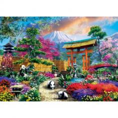  Puzzle 1000 pièces : Colorscapes - Mont Fuji Shimmer