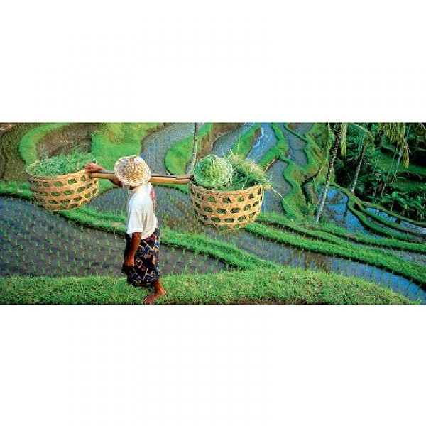Puzzle 1000 pièces panoramique - Géo : Vue sur les rizières, Indonésie - Hasbro-05660