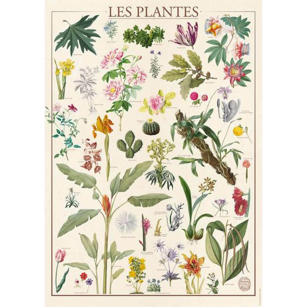 Puzzle 1500 pièces :  Muséum National D'Histoire Naturelle : Les Fleurs - Nathan-12000931