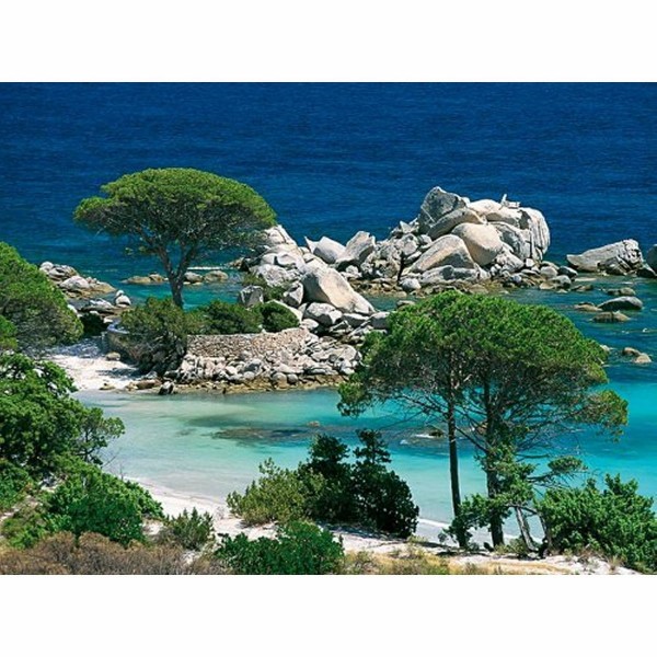 1000 pieces puzzle - South Corsica: Palombaggia beach - Nathan-12000914