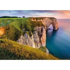 1000-teiliges Puzzle: Blick auf die Klippen von Etretat, Des racines et des ailes