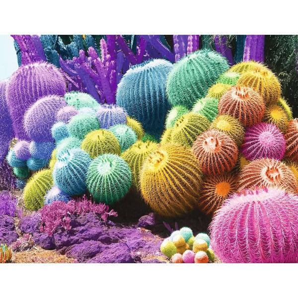 Puzzle 2000 pieces: Cactus Rainbow - Nathan-12001142