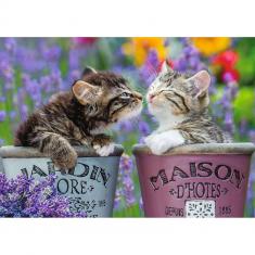 Puzzle 1000 pièces : Bisous de chatons