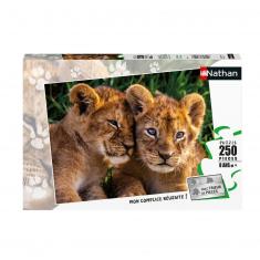 250 piece puzzle: adorable lion cubs