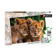 250 pieces puzzle: adorable lion cubs