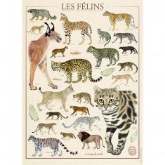 Puzzle 500 pièces : Muséum national d'Histoire naturelle : Les félins