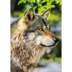 1000-teiliges Puzzle: Wild Life Collection – Europäischer Grauwolf