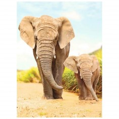 500 piece puzzle: Elephants in the steppes