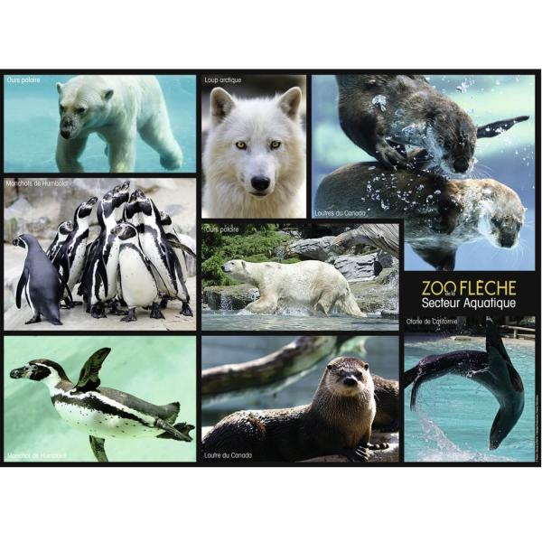 Puzzle de 250 piezas: Sector acuático, Una temporada en el zoológico - Nathan-86870