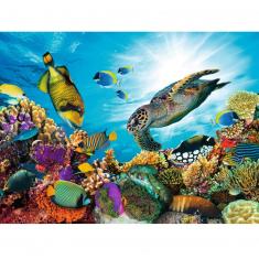 500 pieces puzzle: The coral reef