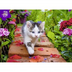 Puzzle 500 pièces : Chaton au jardin