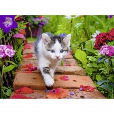 Puzzle de 500 piezas: Gatito en el jardín