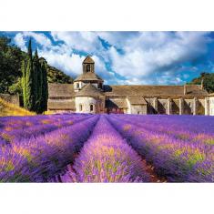 1500 pieces puzzle: Notre-Dame de Sénanque Abbey