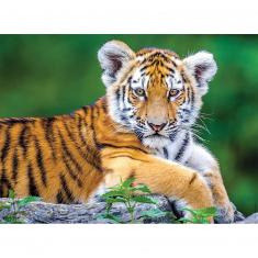 Puzzle 150 pièces :  Bébé Tigre