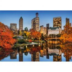 1500 pieces puzzle: New York in autumn