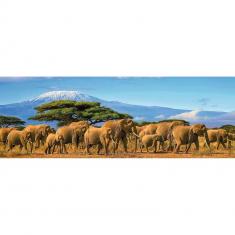 Puzzle 500 pièces : Collection Artiste : Arc en ciel par Lilidoll