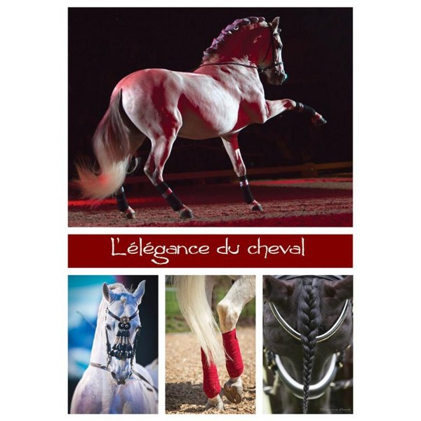 Puzzle 1000 pièces : L'élégance du cheval - Nathan-Ravensburger-87485