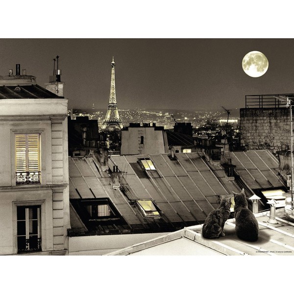 Puzzle 500 pièces : Sur les toits de Paris - Nathan-Ravensburger-87106