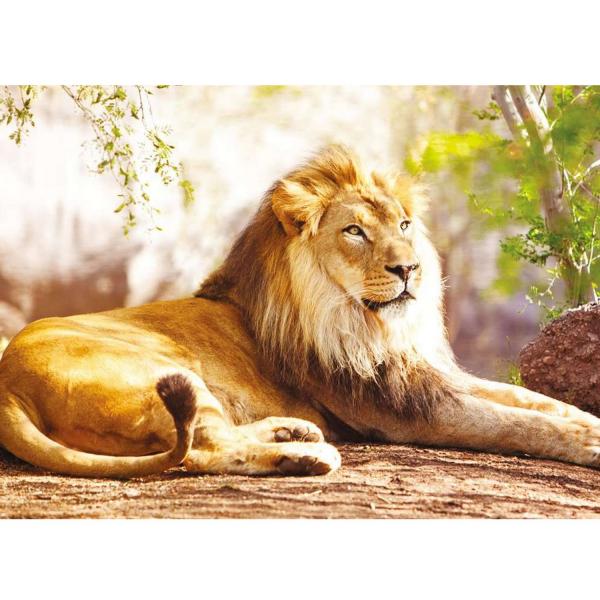 1500 pieces puzzle: King of the savannah  - Nathan-12000951