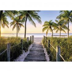 Puzzle 1000 pièces : Plage de Floride