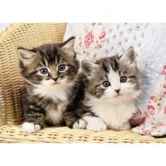 100 piece puzzle: Kitten duo