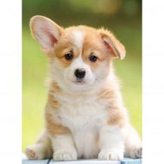 Puzzle 500 pièces : Adorable corgi