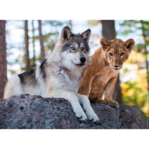 Puzzle de 500 piezas - El lobo y el - Nathan-Ravensburger-87315