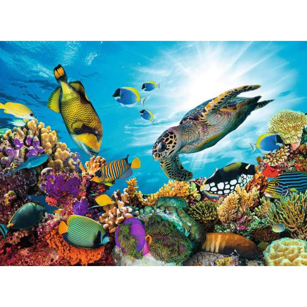 puzzle de 500 piezas - El arrecife de cora - Nathan-Ravensburger-87286