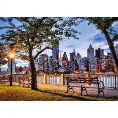 Puzzle 1000 piezas: Manhattan al anochecer